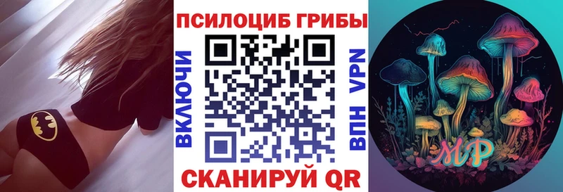 купить наркотик  Балашов  Псилоцибиновые грибы Magic Shrooms 