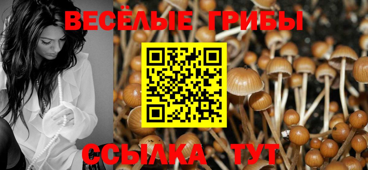 Балашов  Галлюциногенные грибы Psilocybe  Псилоцибиновые грибы Magic Shrooms  Вход с VPN 