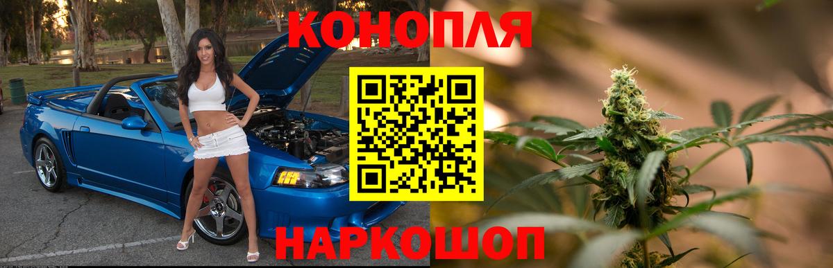 Балашов  Каннабис сатива  Конопля тримм  Бошки Шишки гибрид  Вход с VPN 